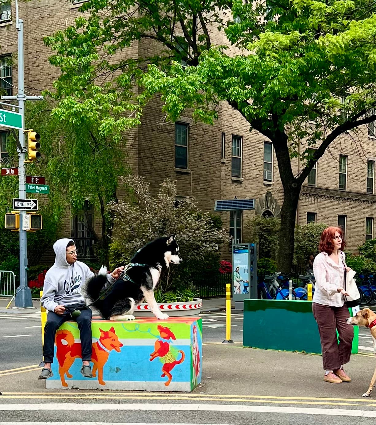 Community members and dogs interacting with colorful mural on street barrier in Jackson Heights